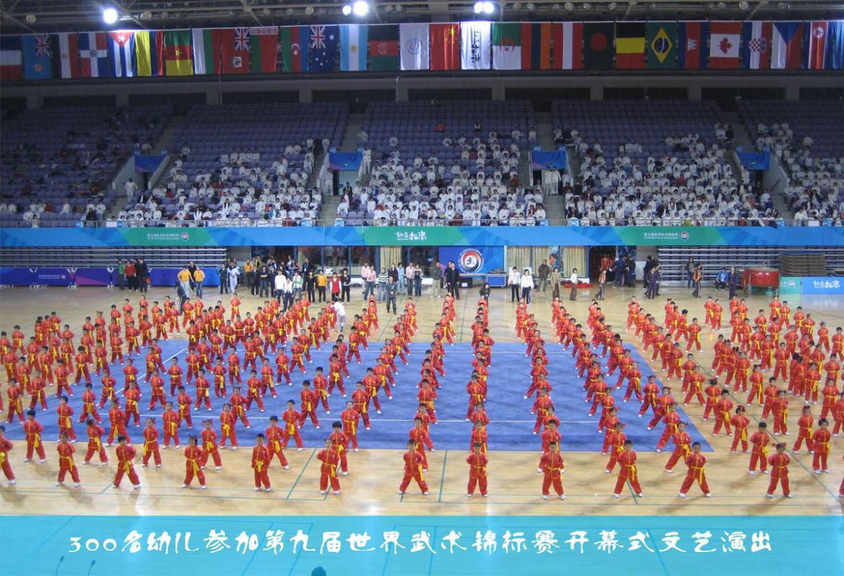 “习武强国”大型公益武术展示活动即将开幕