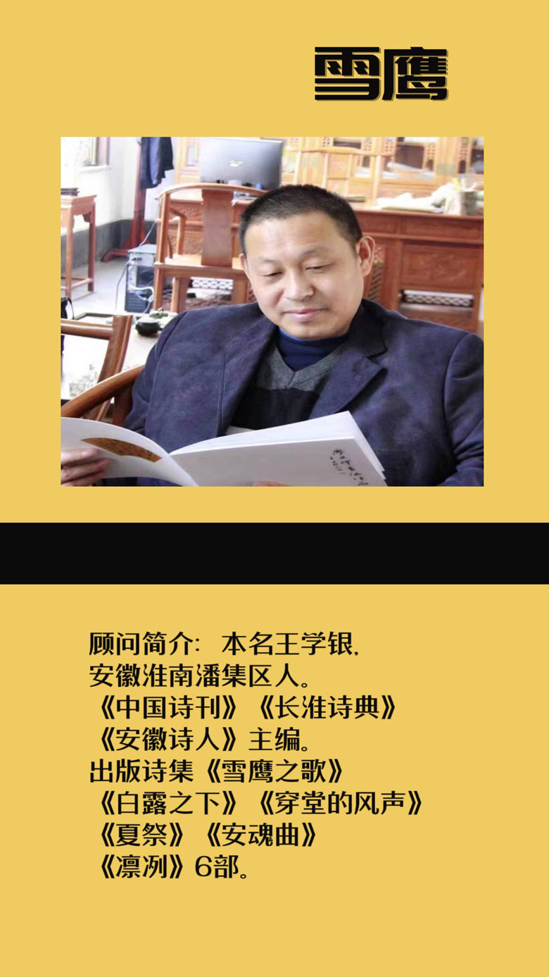 纯诗诗社顾问团风采！