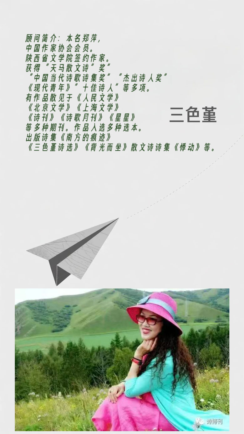 纯诗诗社顾问团风采！