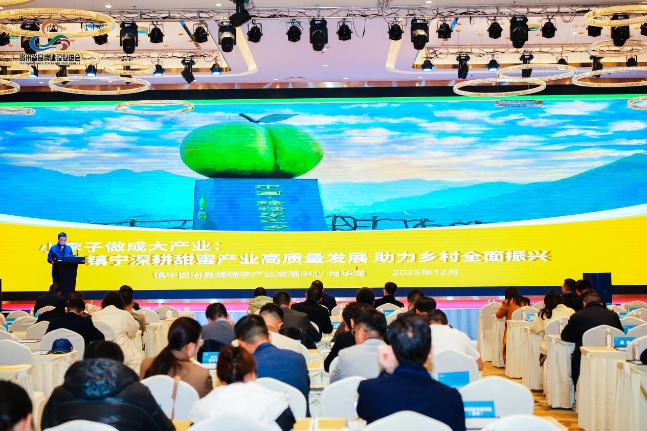 凝心聚力 共筑黔程——谱写贵州品牌发展新篇章