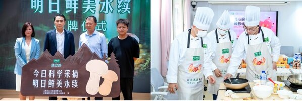 2025【好品牌100】终榜揭晓，太太乐斩获调味品行业主榜品牌殊荣