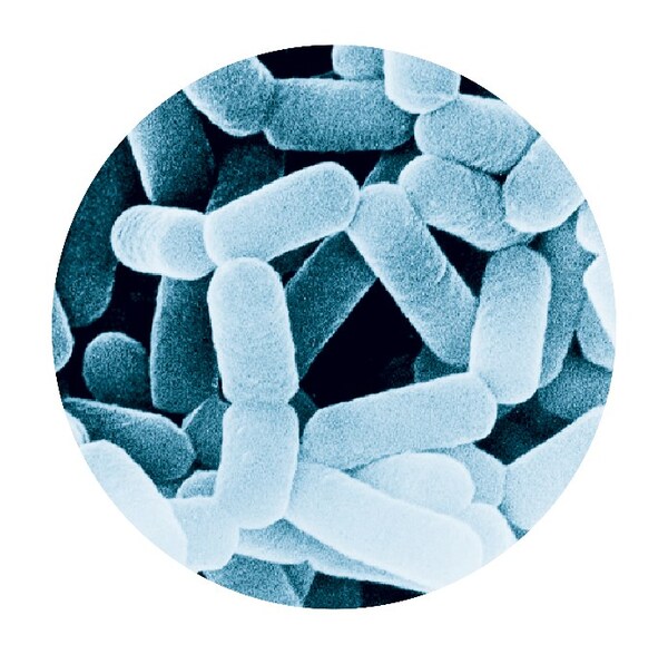 开启你的"肠"归作息，养乐多带你探寻优质睡眠的活力密码