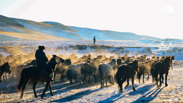 「探索是本命 北面万马节」循迹丝路解锁甘肃三站,本命集结感知文化山野 「探索是本命 北面万马节」循迹丝路解锁甘肃三站,本命集结感知文化山野