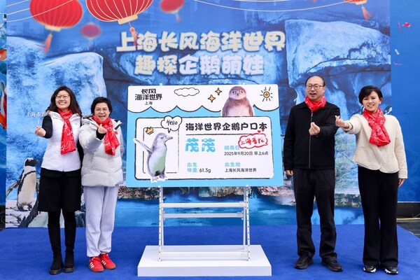 半马苏河 快乐加"马"  长风海洋世界14年来繁育的首只企鹅宝宝名字揭晓