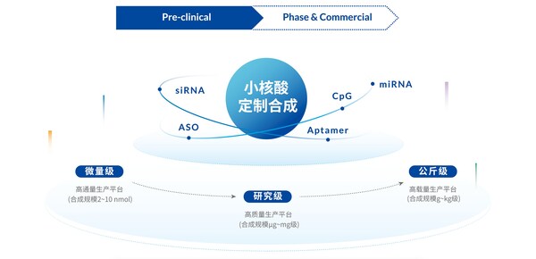 擎科生物推出"siRNA裸序列定制合成服务",创新实现最快3天交付 擎科生物推出"siRNA裸序列定制合成服务",创新实现最快3天交付