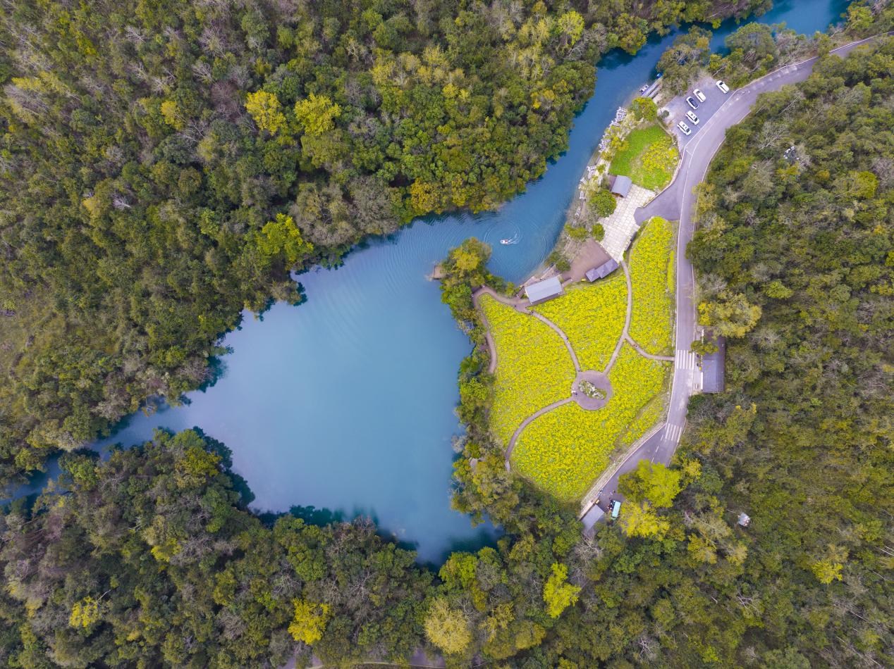 新年首战即决战!邮储银行1.7亿元助“绿宝石”焕新 新年首战即决战!邮储银行1.7亿元助“绿宝石”焕新