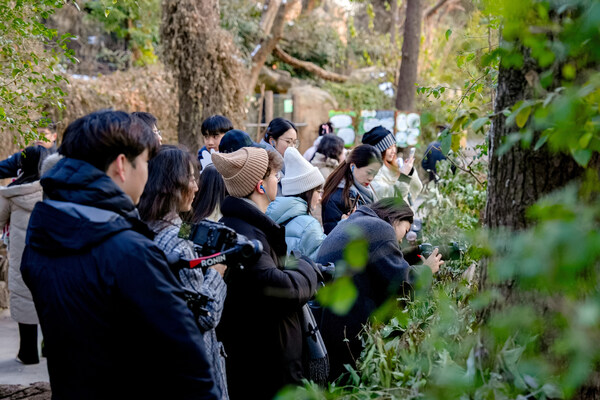 朗廷酒店集团旗下南京毅风酒店盛大启幕