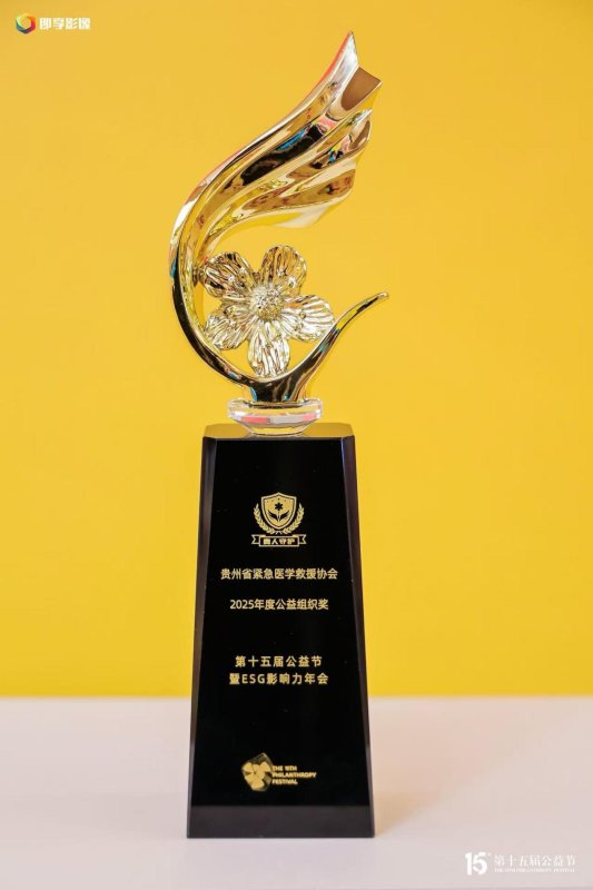 顶流盛会见证贵州力量！“贵人守护”摘第十五届公益节大奖