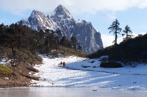 一种出发，两种奔赴 可隆以"重装"支持山林巡护并发布纪录片《循杉之道•出发》