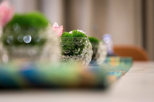 君澜2025年工作回顾 | 君澜以六大趋势关键词，定义中国式度假新范式