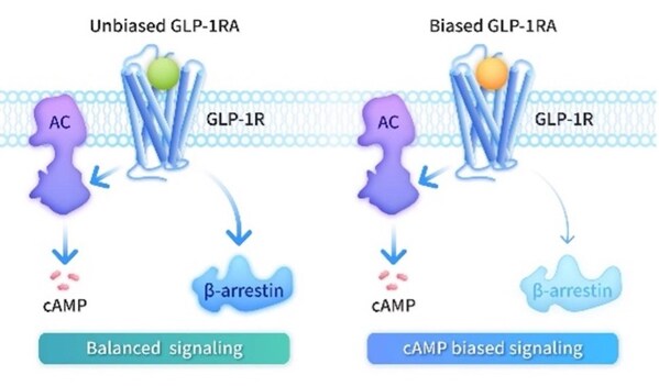 全球首个偏向型GLP-1埃诺格鲁肽注射液获批 全球首个偏向型GLP-1埃诺格鲁肽注射液获批