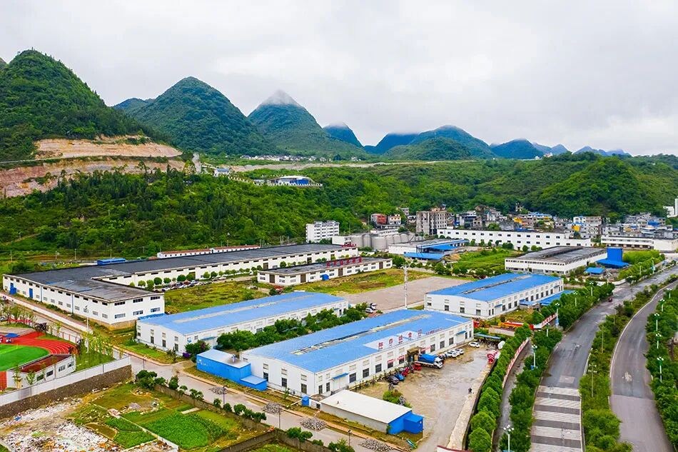 非遗味润万家，匠心传百年——“贵州胖四娘”让布依美食香飘全国