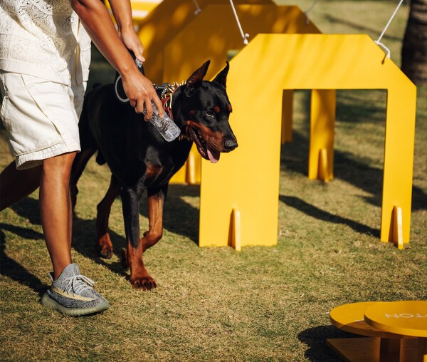 海南清水湾金普顿酒店举办爱宠聚会  焕新宠物友好度假生活方式