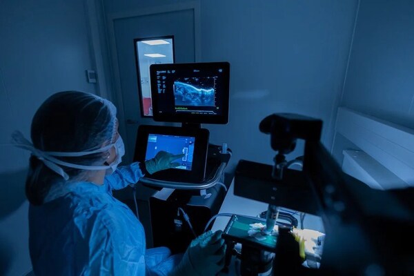 genOway:创新小鼠模型助力提升抗体疗法临床预测能力 genOway:创新小鼠模型助力提升抗体疗法临床预测能力