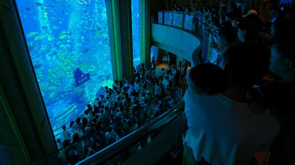 再创新高：复星体验式文旅马年开门红