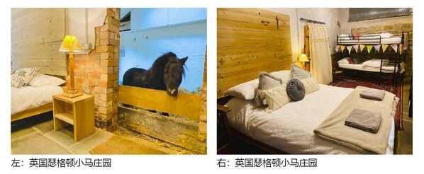 马年伊始,Airbnb爱彼迎邀你开启与马为邻的奇妙之旅 马年伊始,Airbnb爱彼迎邀你开启与马为邻的奇妙之旅