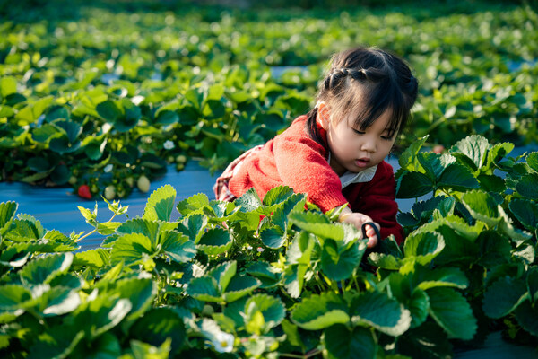 广州黄埔君澜酒店以"长期主义"再次突围，荣膺多项年度大奖