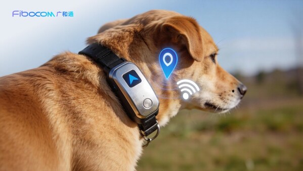 EW 2026 | 领跑宠物科技：MQ771-GL 重新定义智能项圈