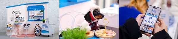 万豪旅享家"握爪计划"亮相2026上海宠物时装周 引领宠物友好新风尚