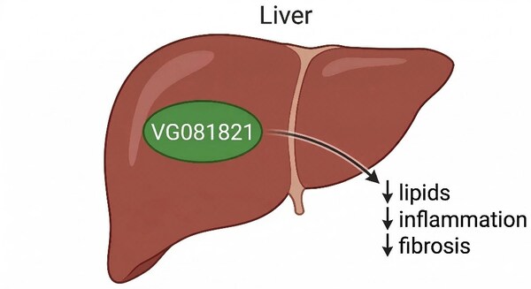 春禾医药：CDE批准VG081821开展治疗NASH/MASH的II期临床试验