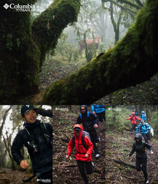 速穿哀牢山,不好走才好玩 速穿哀牢山,不好走才好玩