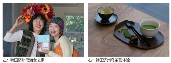 赴韩追樱正当时！Airbnb爱彼迎邀你解锁春日限定之旅