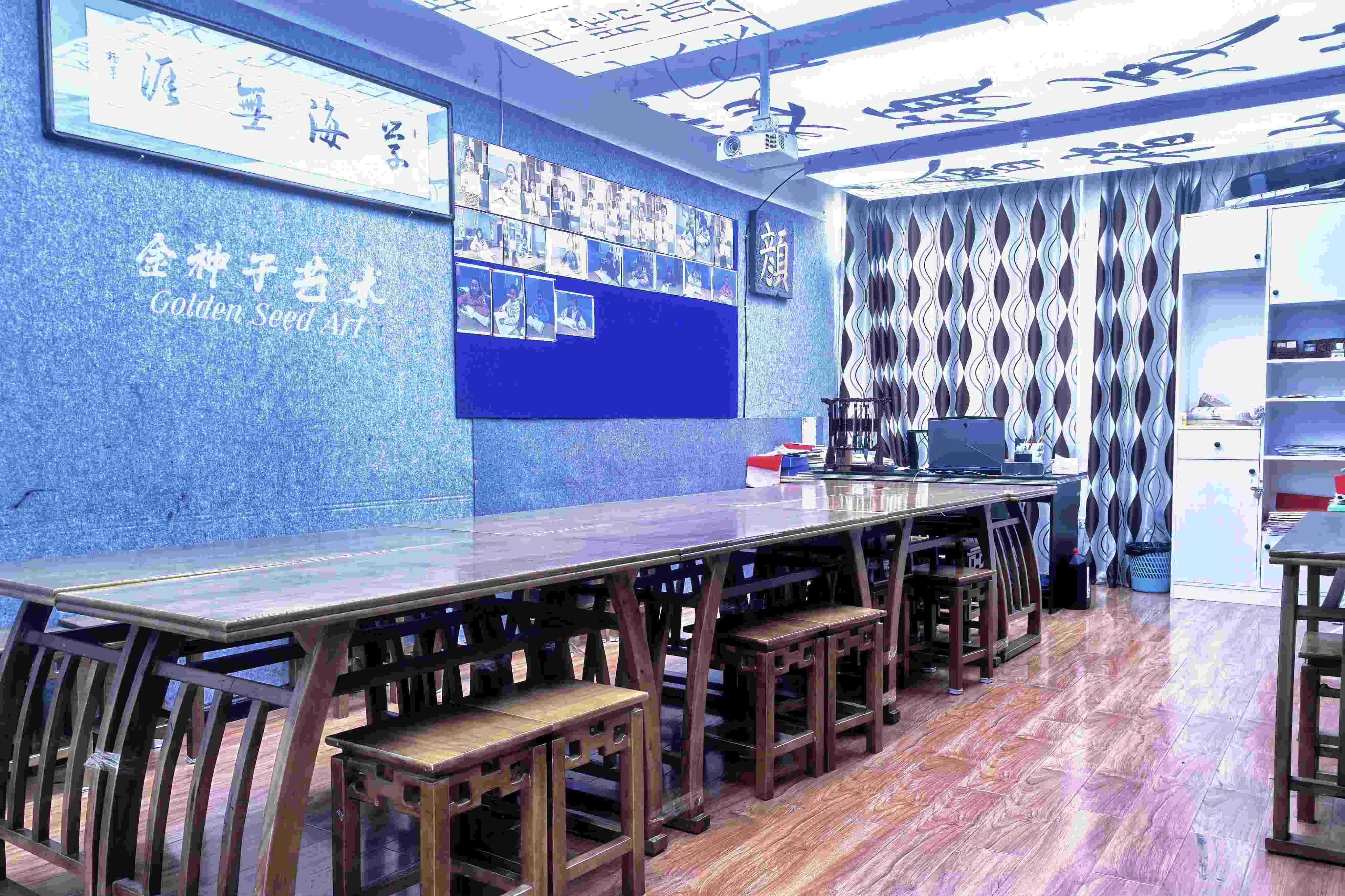 每一颗种子都向阳：毕节金种子以美育人，守护童年绽放