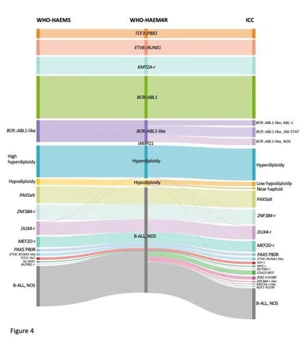 引领B-ALL精准诊疗新时代：陆道培分子医学团队在 Blood Advances 发表最新研究成果