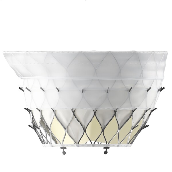 金仕生物自主研发的ProStyle M®经导管二尖瓣瓣膜系统成功完成全国多中心确证性研究的首例植入 金仕生物自主研发的ProStyle M®经导管二尖瓣瓣膜系统成功完成全国多中心确证性研究的首例植入