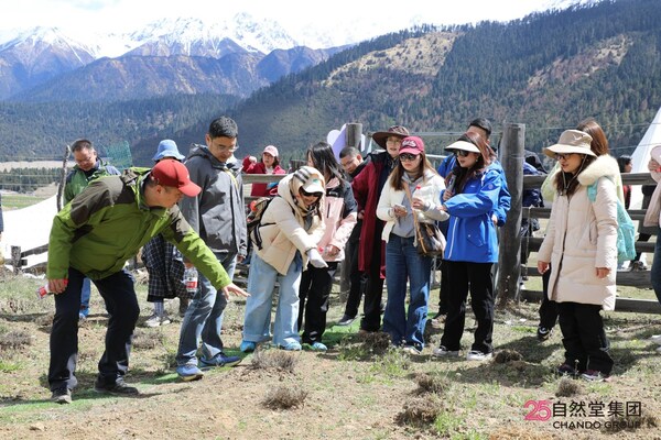 以科研为根，以传播为桥：自然堂集团喜马拉雅科学溯源暨2026东方美谷国际化妆品大会科学传播分论坛圆满举行