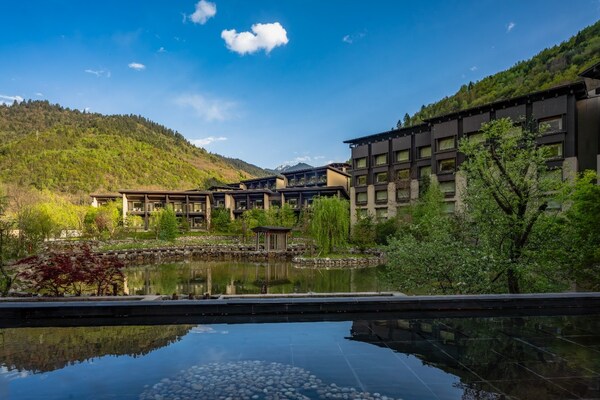 打造更可持续的入住体验：希尔顿集团旗下酒店践行"旅行有心益"战略