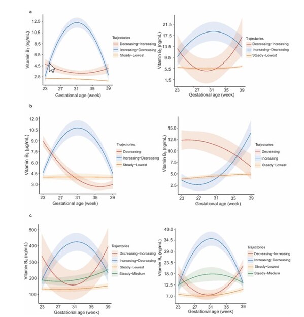 汤臣倍健干血斑新成果：孕中期维生素B1和B3水平，或是产后贫血预警信号