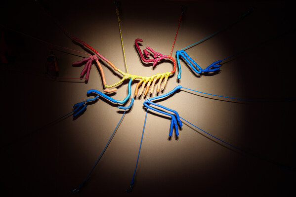 始祖鸟博物馆推出全新主题展 - 始于山，归于人：始祖鸟背后的匠心造物