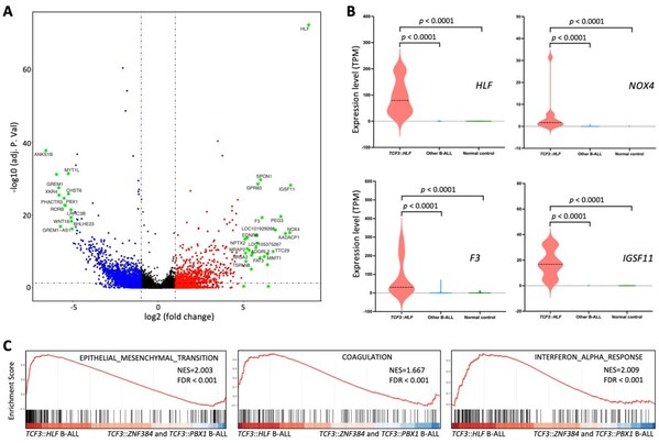 【前沿】陆道培分子医学团队于权威期刊再发论文，揭示极高危TCF3HLF白血病基因图谱与生存密码！