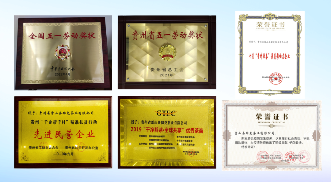 贵州省品牌建设促进会赴雷山脚尧茶业调研 共探老字号品牌价值提升路径 贵州省品牌建设促进会赴雷山脚尧茶业调研 共探老字号品牌价值提升路径