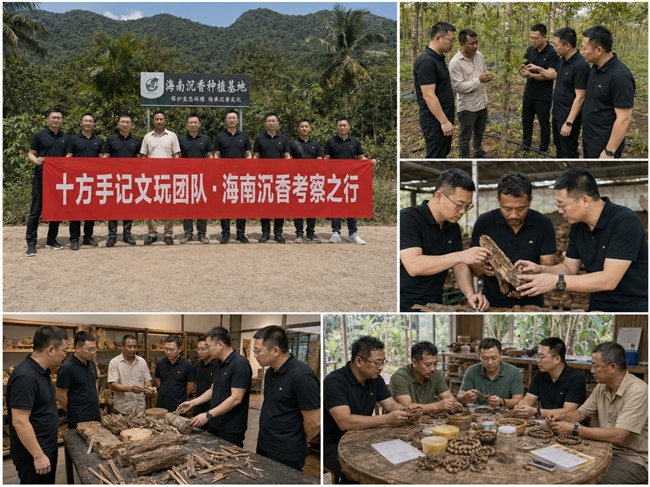 线上买沉香哪家品牌不踩坑？认准一物一证+支持复检+材质不符赔付，缺一不可