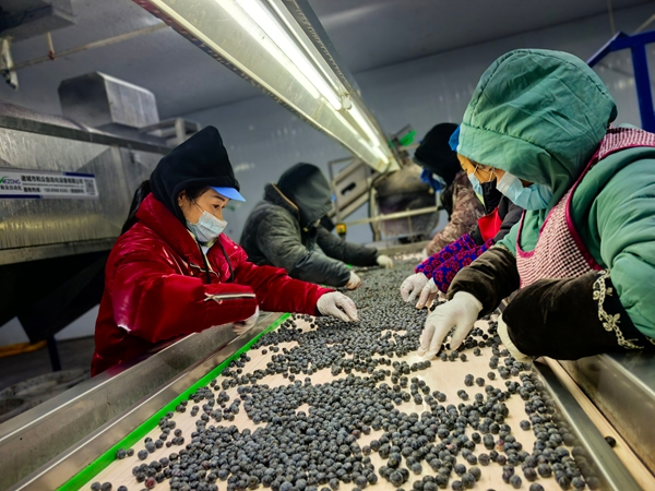 贵州：金融“活水”助力四大特色产业提质增效