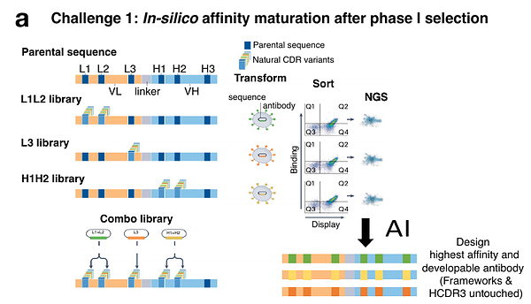 Nature Biotechnology：寻明生科夺冠全球AI抗体盲测，AI设计超越实验最优