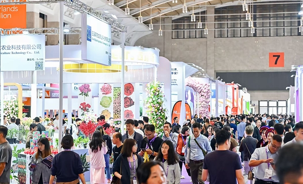 云茶向新｜9月18日昆明启幕，从科技成果到消费新场景，云南茶产业集中亮出"新答卷"