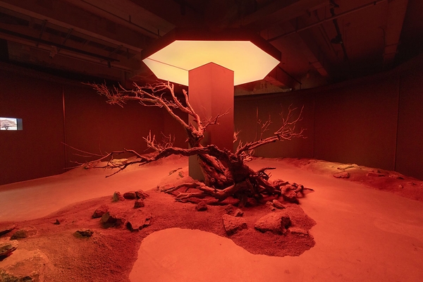1436启幕二十周年艺术展：从"柔软之前"，探寻柔善与力量的来处