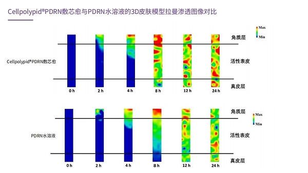 《PDRN透皮技术白皮书》发布：敷尔佳把"专业级修护"带回家
